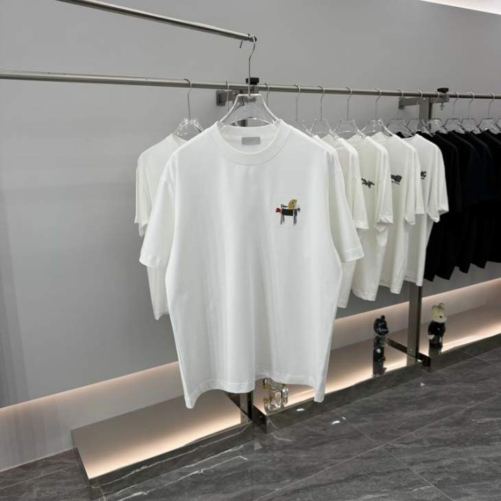 Picture of Dior T Shirts Short _SKUDiorS-2XLhgntx9116044
